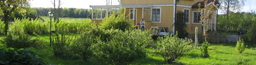 Huset